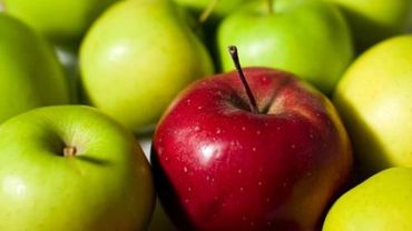 Яблоки препятствуют затвердеванию артерий