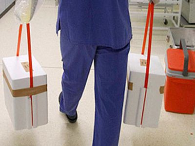 Сколько литовцев готовы посмертно стать донорами?                                 - Литва и страны Балтии