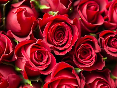 С ЮБИЛЕЕМ, ДОРОГОЙ ДОКТОР! - Поздравления