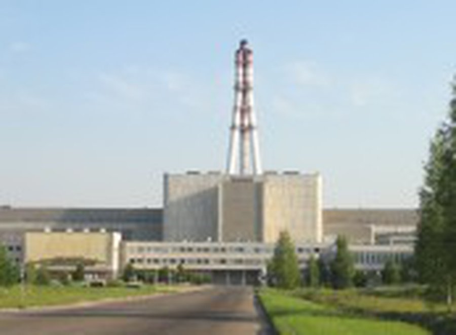 Накануне выборов в политагитации на первый план выходят проблемы Игналины  - Литва и страны Балтии