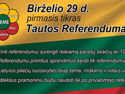 Из-за рекордно низкой явки референдум в Литве не состоялся - Литва и страны Балтии