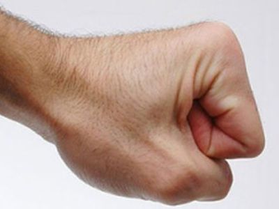 Кулаки назвали двигателем эволюции человека - Наука и здоровье