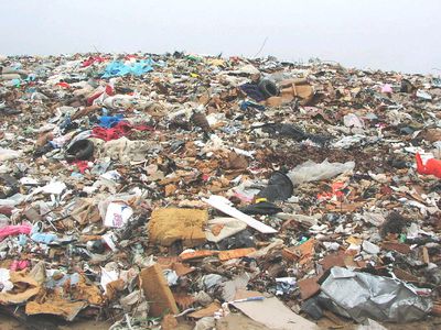 На крупнейшей свалке Вильнюса построят электростанцию - Энергетика