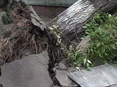 В Белоруссии штормовой ветер, ливни и град обесточили более 450 населенных пунктов - В Мире