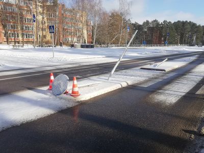 Кадр дня: "Островок в опасности" - В Висагинасе