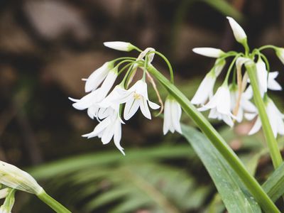 Погода: буря отступит, а осадки останутся - Литва и страны Балтии