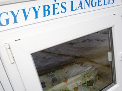 В Каунасе в «окне жизни» оставили младенца - Литва и страны Балтии