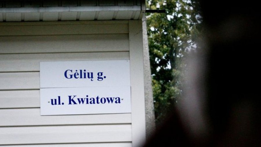 Комиссия по языку предупреждает об угрозе двуязычия  - Литва и страны Балтии