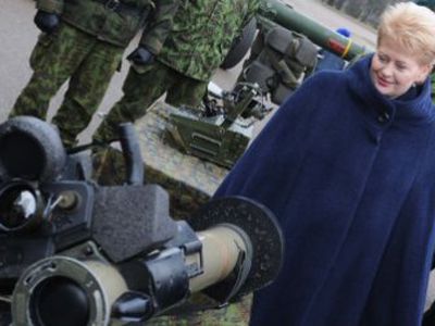 Президент: Литве подошла бы небольшая профессиональная армия и резерв - Литва и страны Балтии