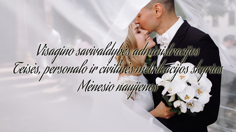 Статистика загса за ноябрь - В Висагинасе
