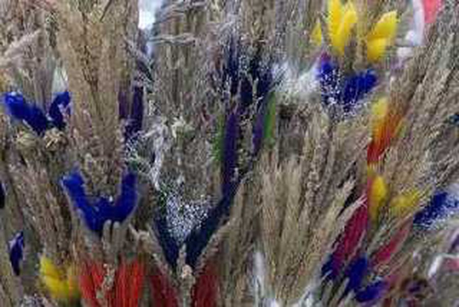 В «Домино» — ярмарка Казюкаса                                   - В Висагинасе