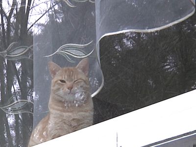 Как минимальными усилиями и без особых затрат отреновировать свой дом... - В Висагинасе
