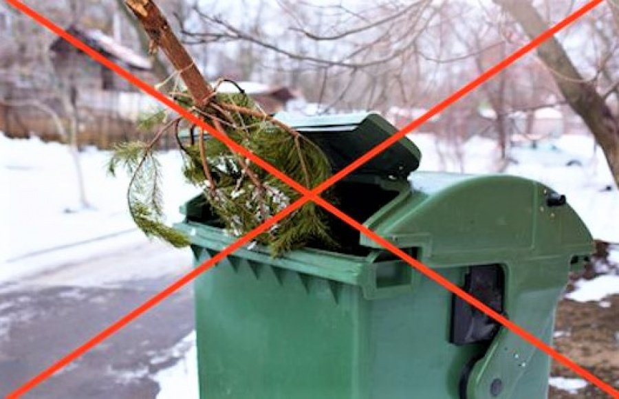 Куда выбросить ёлку после праздников - В Висагинасе