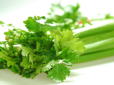 Kviečiame į susitikimą su žolininke-bioenergetike Dale Petraitiene tema „Sveikata iš gamtos aruodų“ - Visagine