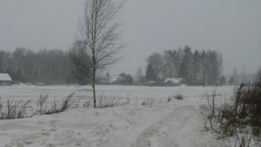 Погода: местами снег, местами — туман - Литва и страны Балтии