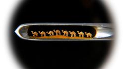 Открылась выставка «Мир чудес»: искусство на грани невозможного (видео) (обновлено)