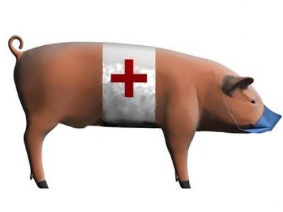 Ir vėl apie gripą
 - Lietuva ir Baltijos šalys