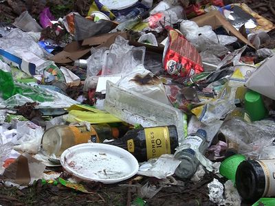 Висагинские леса буквально задыхаются от мусора (видео) - В Висагинасе