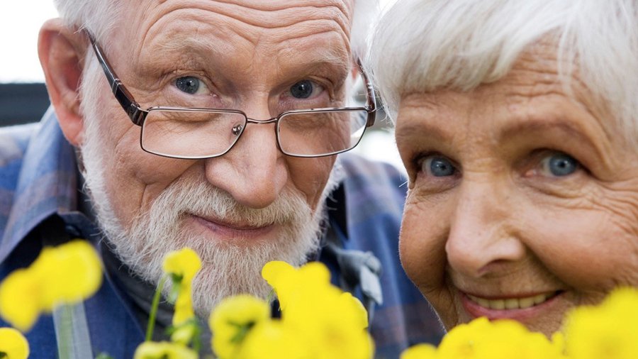 В цифрах и фактах: что продлевает жизнь человеку? - Наука и здоровье