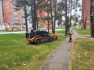 До 16 октября в Висагинасе удаляют пни на десяти улицах и аллеях - В Висагинасе