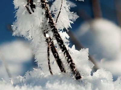 Установившиеся в Литве сильные морозы ежедневно собирают скорбную дань                                                            - Происшествия и криминал