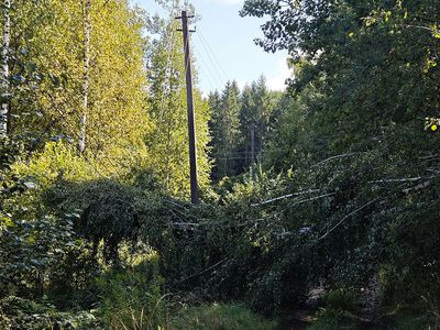 Часть улиц в садовых обществах до сих пор остается без электричества - В Висагинасе