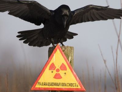 Литва в Женеве пытается оспорить правомерность выбора площадки для Белорусской АЭС

                                 - Энергетика