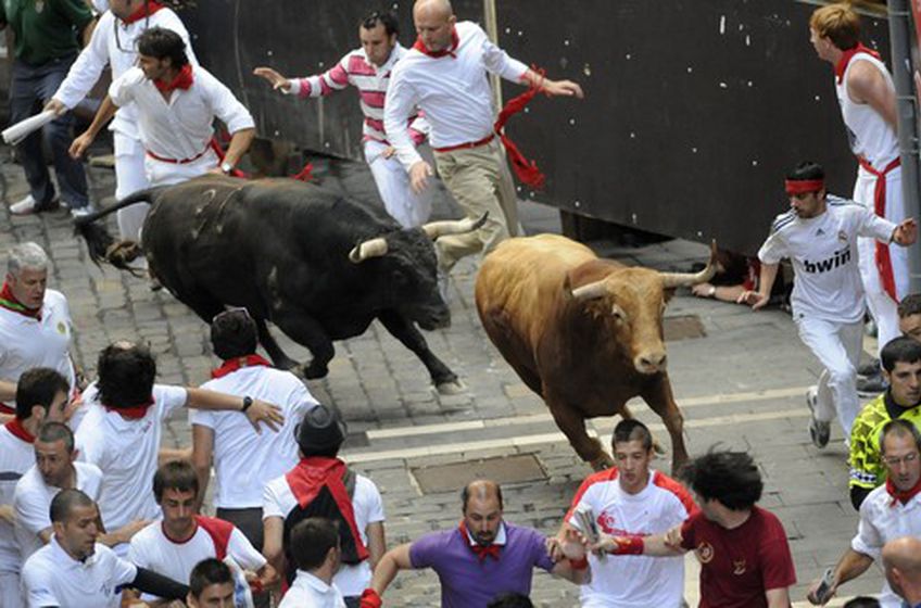 В забегах с быками в Испании пострадали десятки человек 