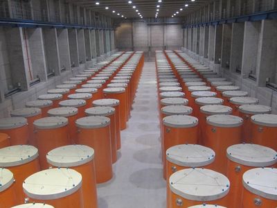 ИАЭС не теряет надежды переработать использованное ядерное топливо - Энергетика