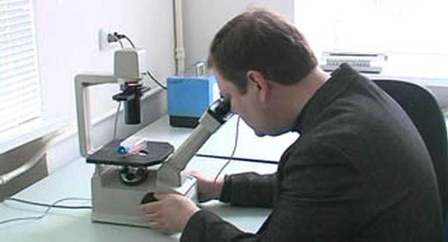 В Литве - первый случай заболевания «свиным» гриппом  - Литва и страны Балтии