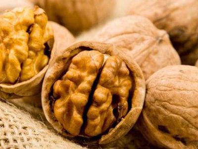 Лучшие продукты для повышения интеллекта и концентрации внимания - Наука и здоровье