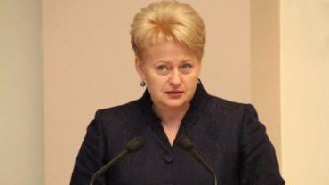 Президент Литвы: На нашу энергетику Россия всегда влияла