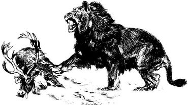 В Якутии обнаружили череп пещерного льва