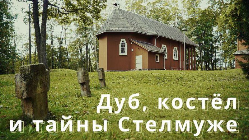 Стелмуже: вековая история дуба и поместья (фильм) - Это интересно