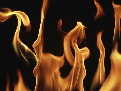 В Висагинском самоуправлении меньше пожаров не становится - В Висагинасе