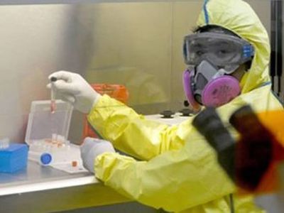 Риск эпидемии чумы реален? - Наука и здоровье