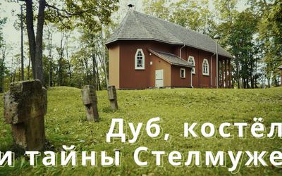 Стелмуже: вековая история дуба и поместья (фильм) - Это интересно