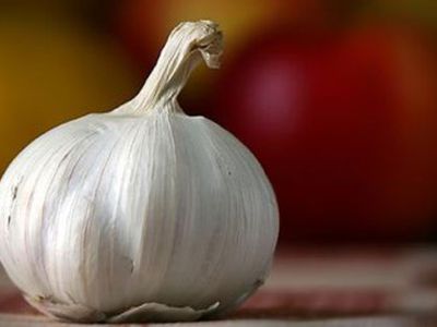Чеснок — убийца болезней №1 - Наука и здоровье