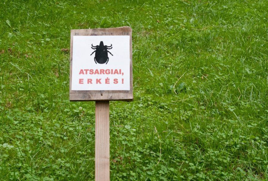 Болезнью Лайма заразилось больше клайпедчан - Наука и здоровье