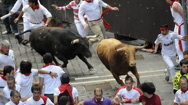 В забегах с быками в Испании пострадали десятки человек 