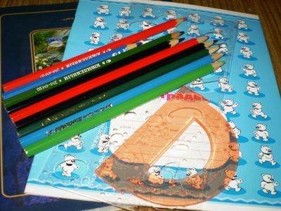 В Висагинасе прошла благотворительная акция по сбору школьных принадлежностей                                                                          - В Висагинасе