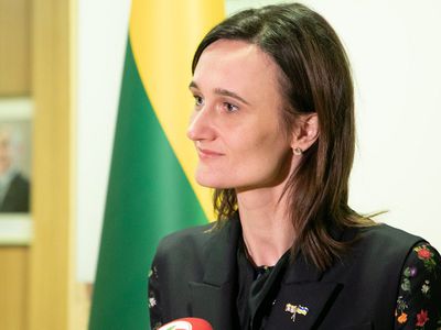 В. Чмилите-Нильсен: от преподавания русского языка следует не отказываться, а менять учебные материалы - Литва и страны Балтии