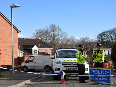 Полиция: Скрипаль и его дочь подверглись воздействию нервно-паралитического вещества - Происшествия и криминал