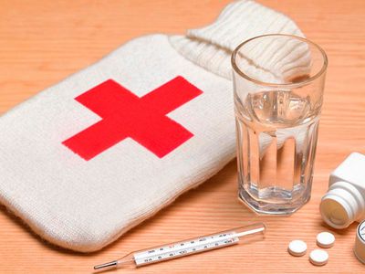 В Литве от гриппа умерло девять человек - Литва и страны Балтии