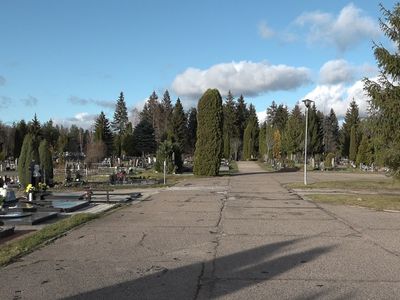 В Висагинском самоуправлении будет создана цифровая база данных кладбищ - В Висагинасе
