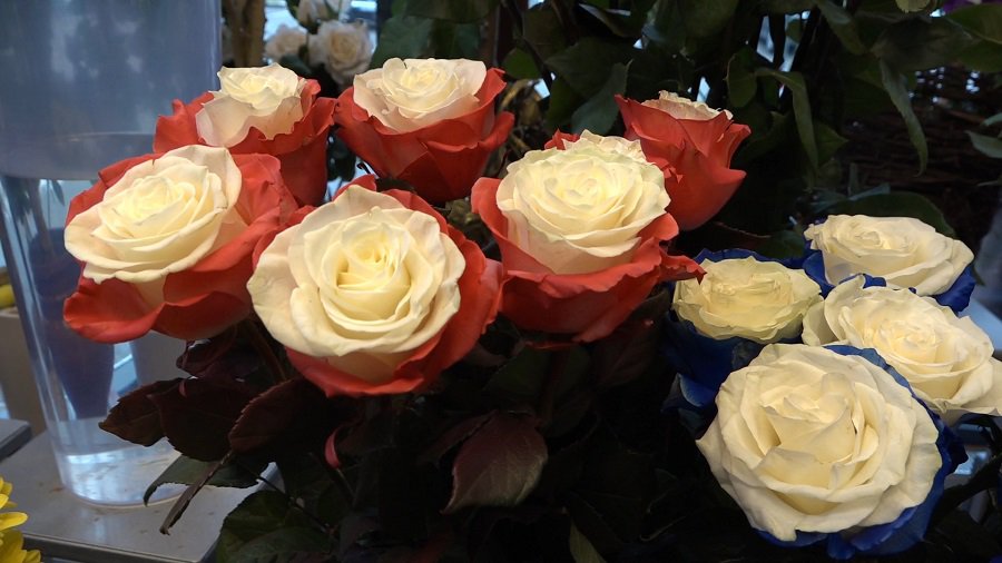 Висагинцы – о Дне святого Валентина (видео) - В Висагинасе