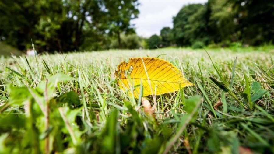 Солнечная осень закончится завтра - Литва и страны Балтии