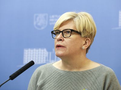 И. Шимоните призывает воздержаться от действий, создающих основу для распространения путинской пропаганды - Литва и страны Балтии