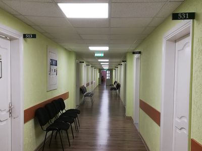 А. Думбрава высказал аргументы против закрытия налоговой инспекции - В Висагинасе