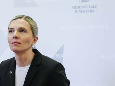 А. Билотайте: мы лидируем в ЕС по добровольному возвращению нелегальных мигрантов - Литва и страны Балтии